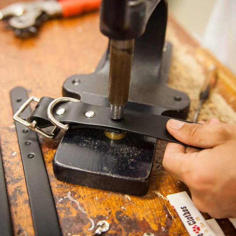 Creature Clothes Tan Bone Lead - Image 3