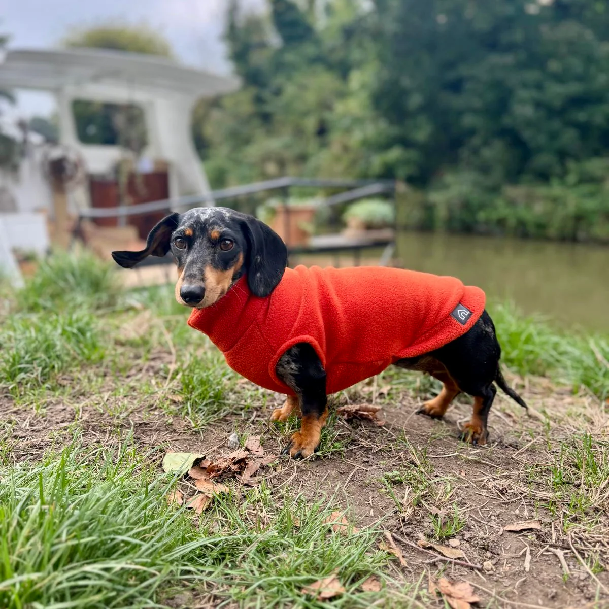 Dachshund Fleece Jumper - Image 15