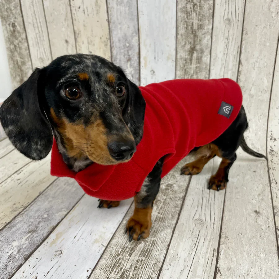 Dachshund Fleece Jumper - Image 16