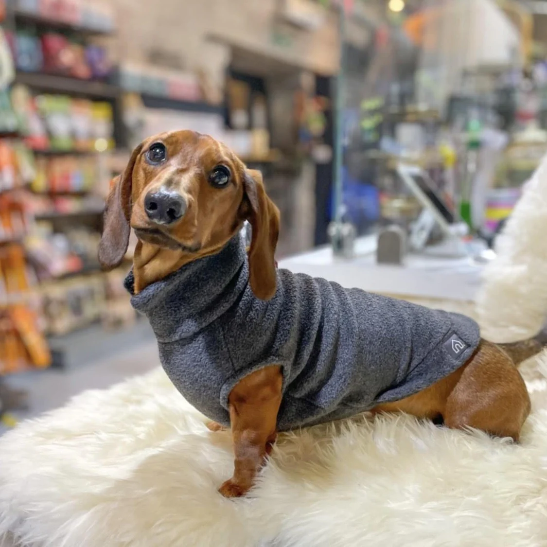 Dachshund Fleece Jumper - Image 4