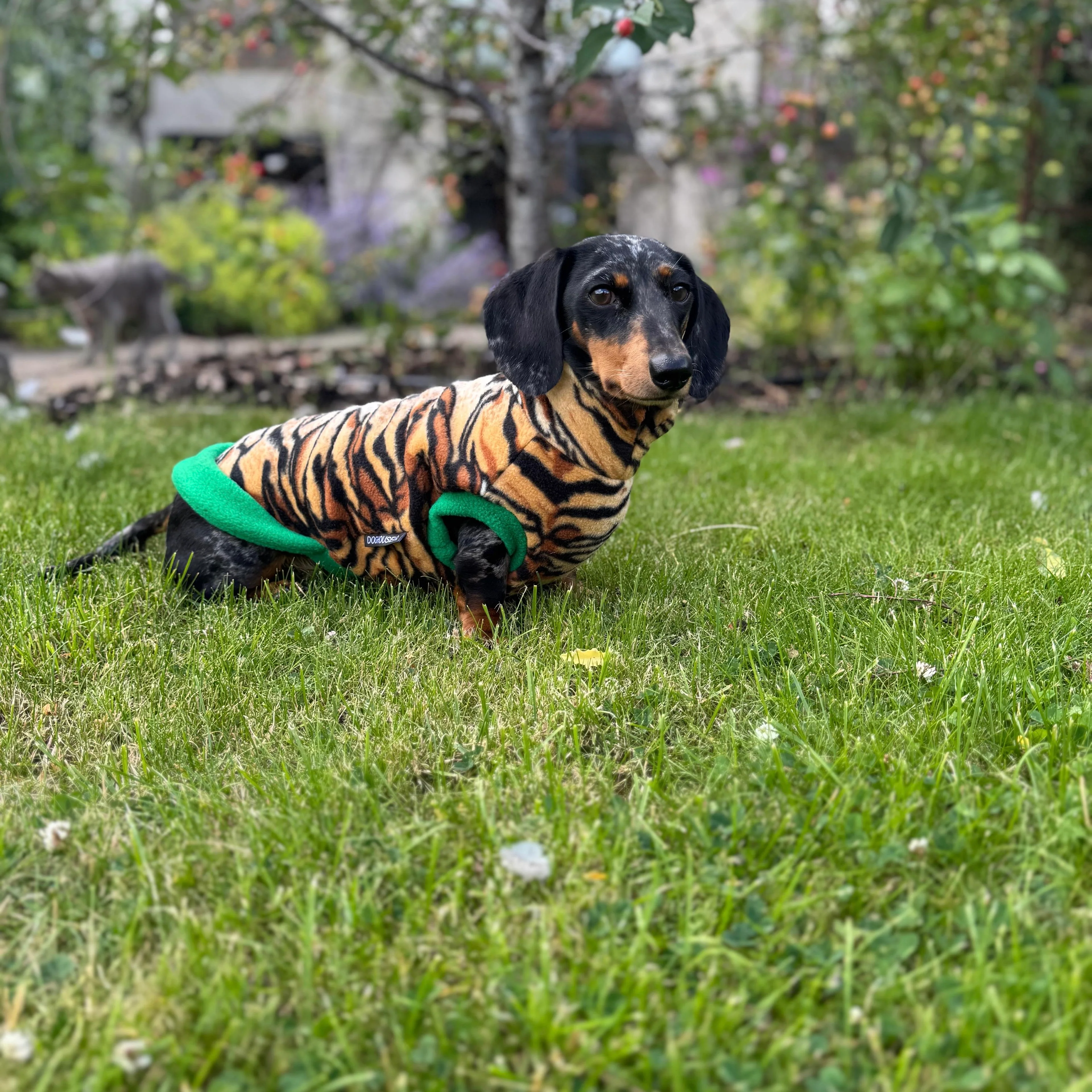 Dachshund Wild Animal Print Fleece Jumper - Image 12