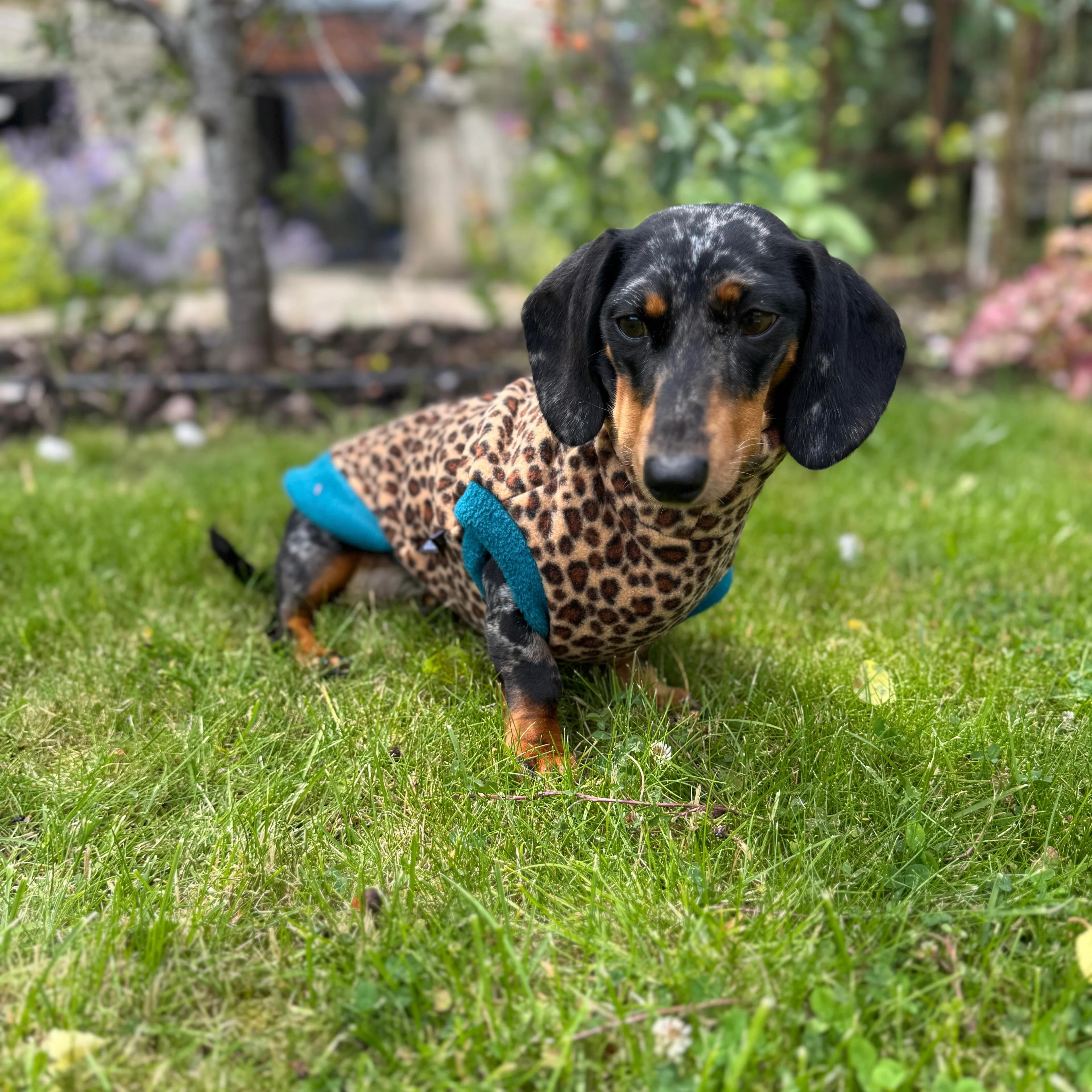 Dachshund Wild Animal Print Fleece Jumper - Image 13