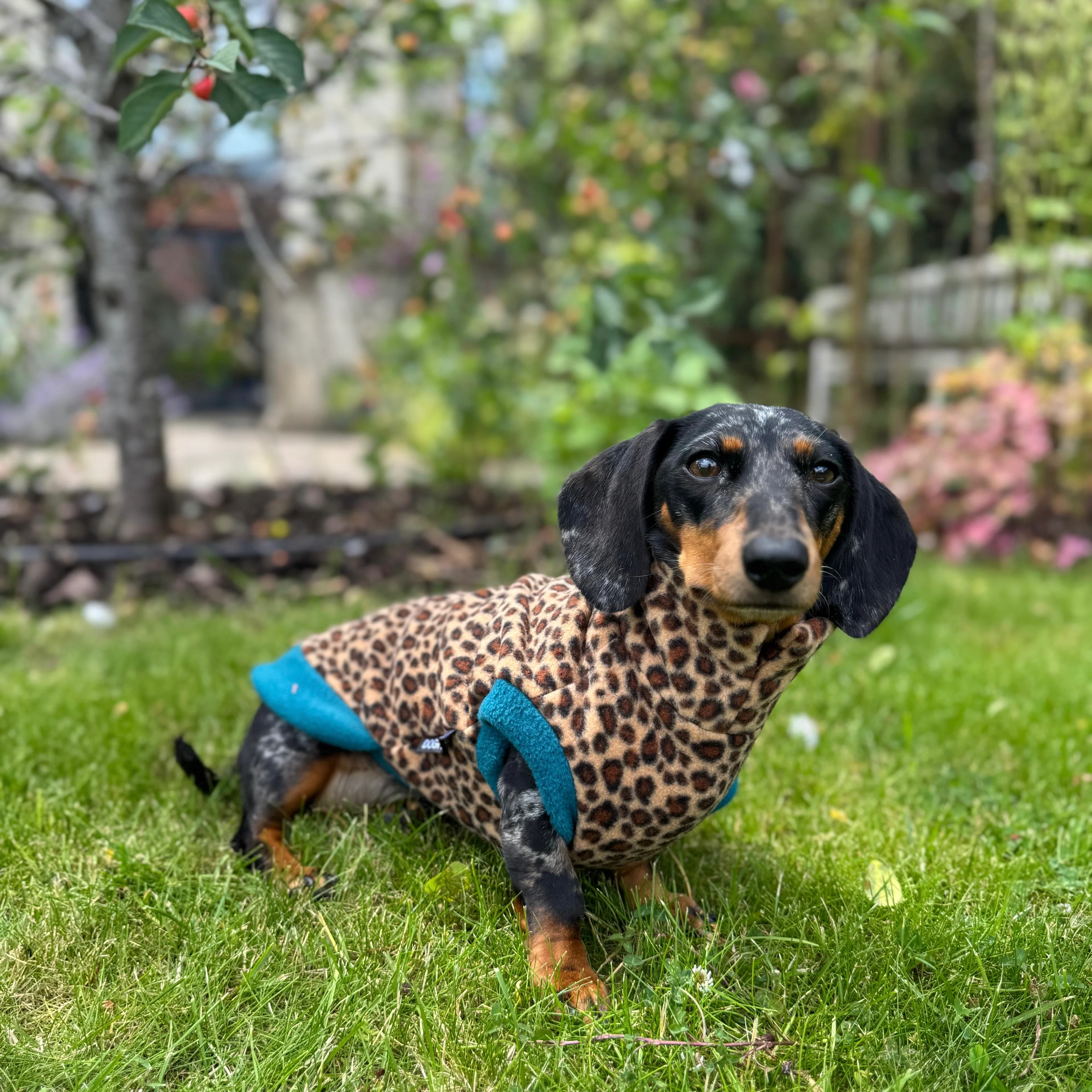 Dachshund Wild Animal Print Fleece Jumper - Image 4