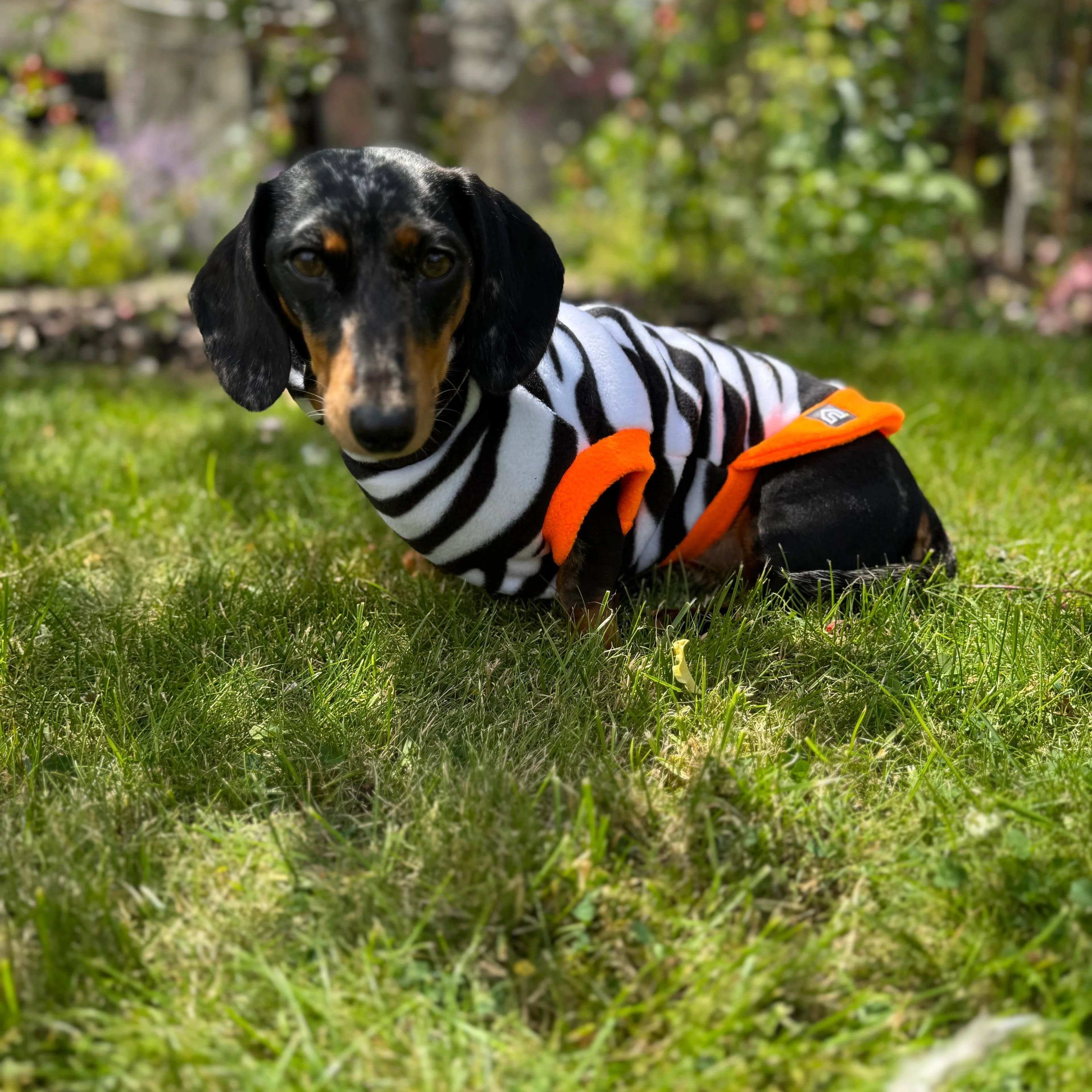 Dachshund Wild Animal Print Fleece Jumper - Image 5