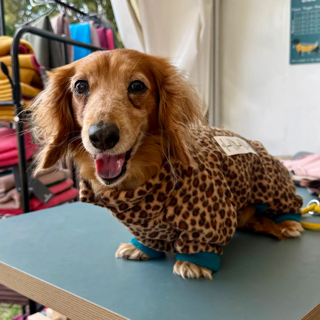 Dachshund Wild Animal Print Fleece Suits with 4 Legs - Image 14