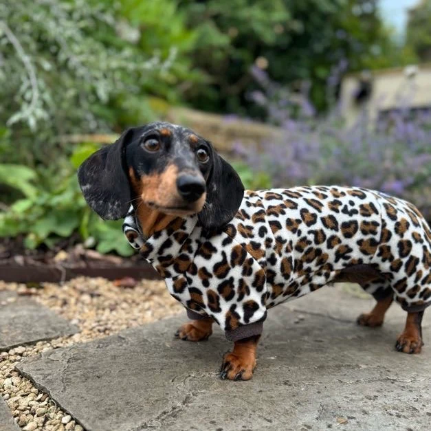 Dachshund Wild Animal Print Fleece Suits with 4 Legs - Image 8