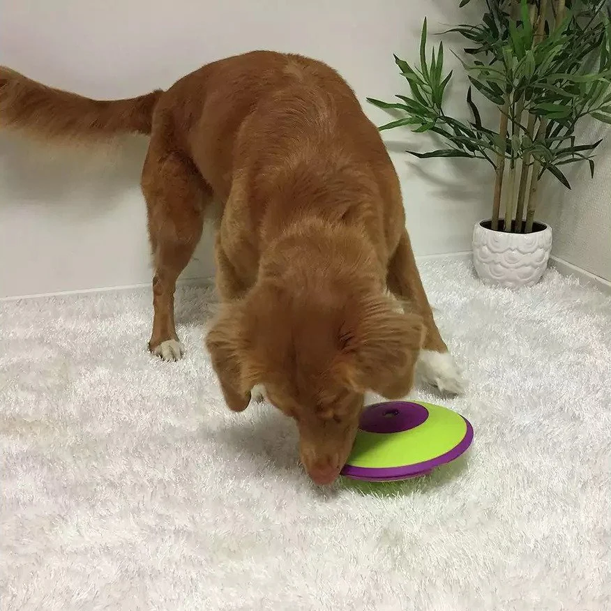 Nina Ottosson Dog Treat Maze - Image 5