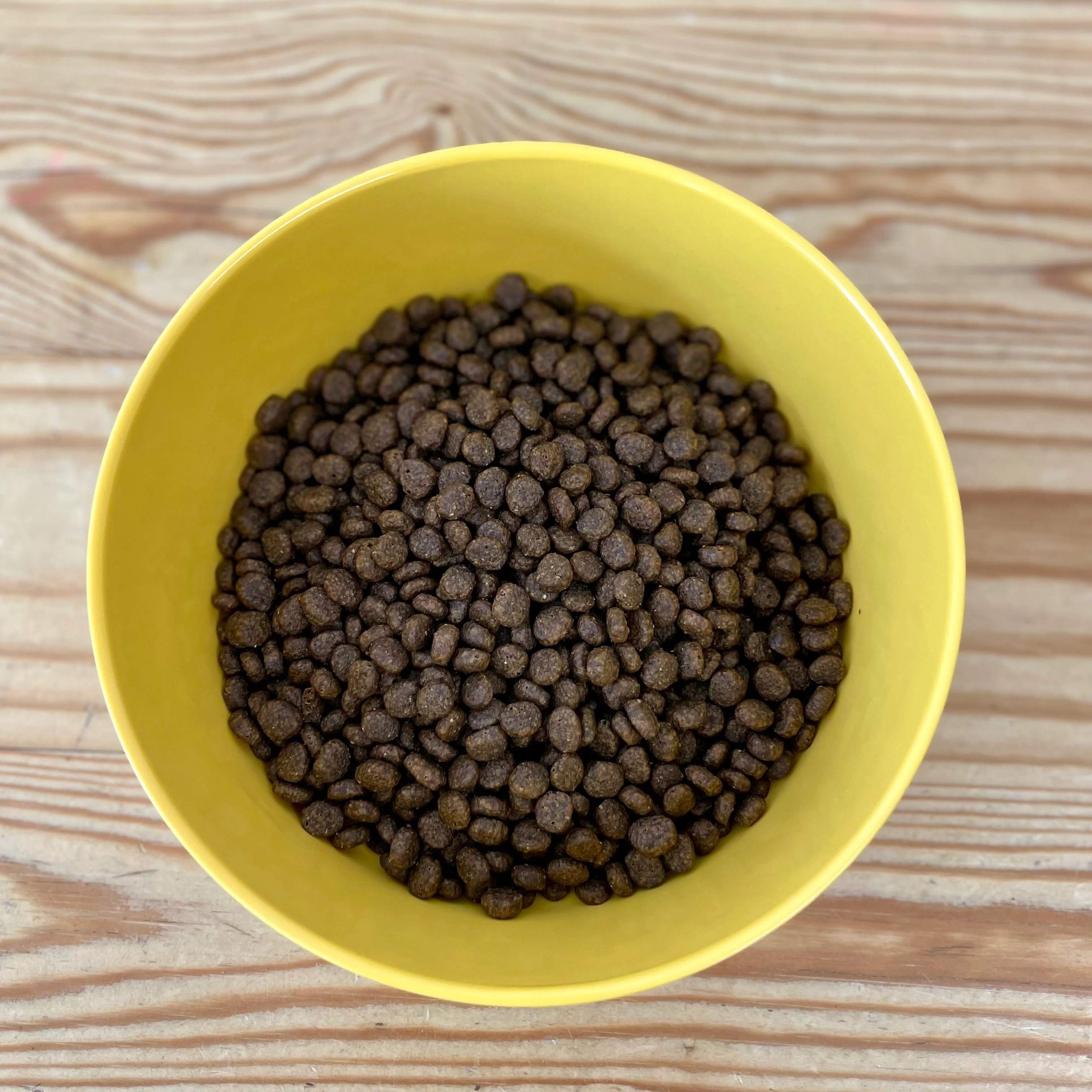 DOGFOOD Grain Free Salmon for Small Breed Adult Dogs - Image 7