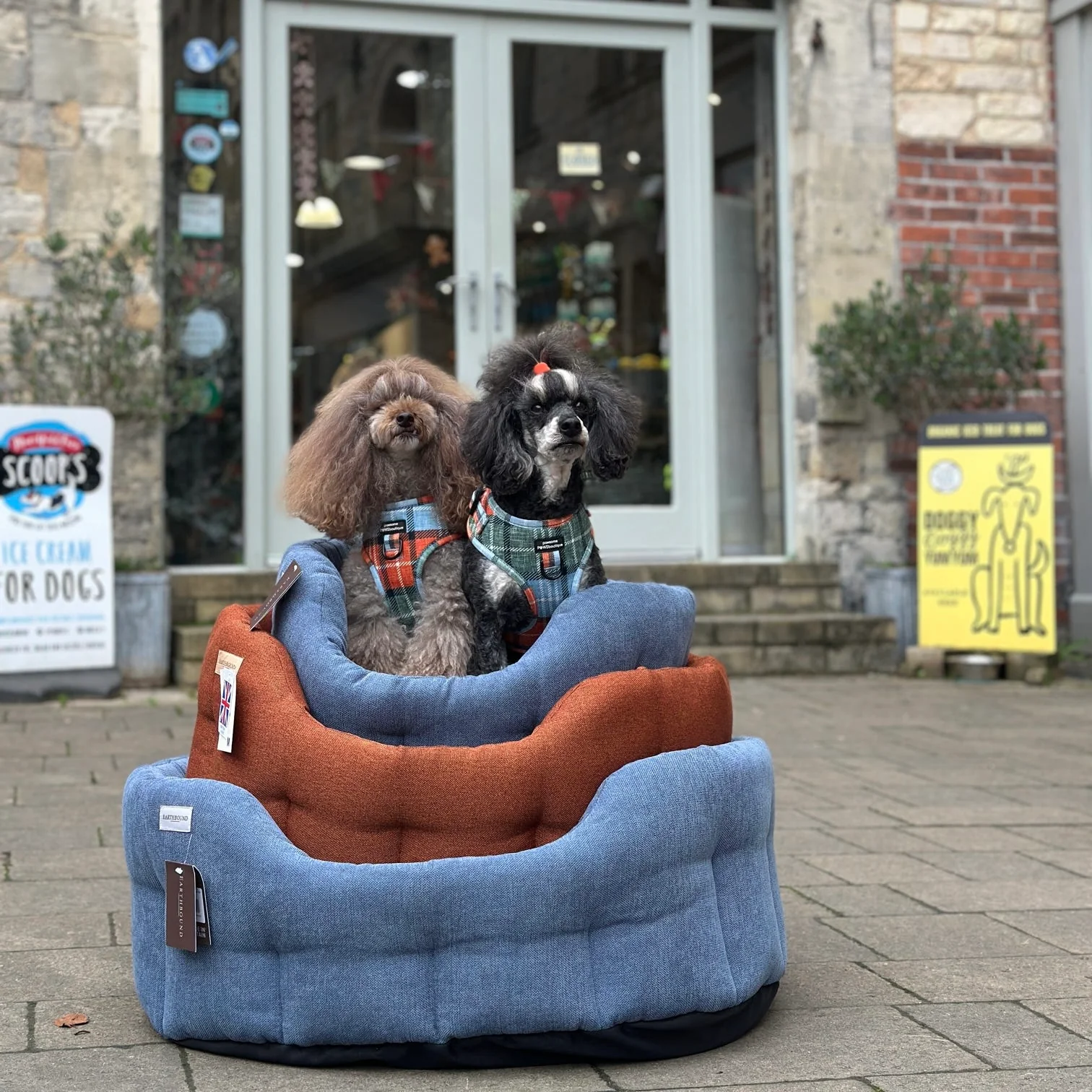 Earthbound Orkney Daisy Blue Dog Bed - Image 4