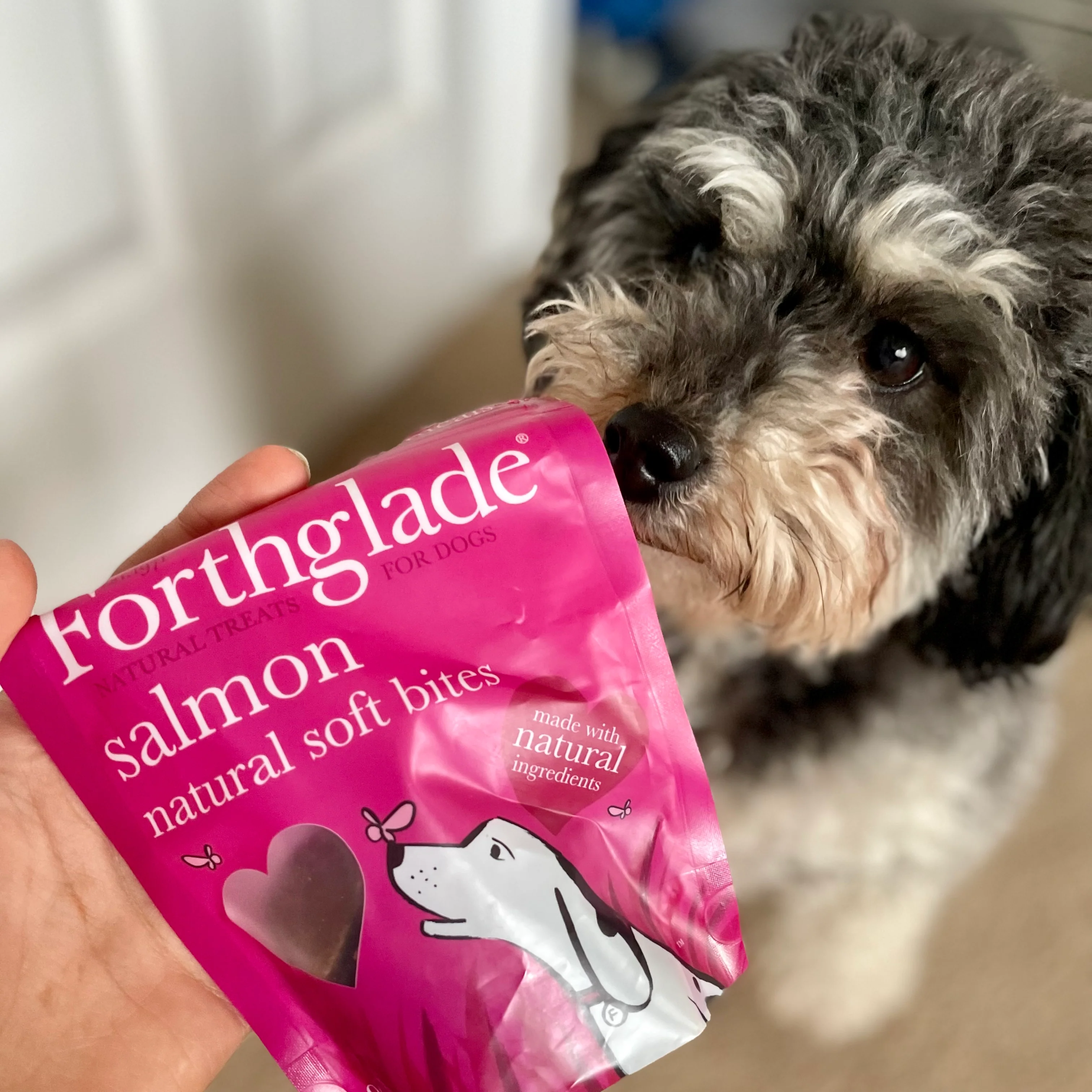 Forthglade Natural Soft Bites Love Heart Shaped Treats - Image 3