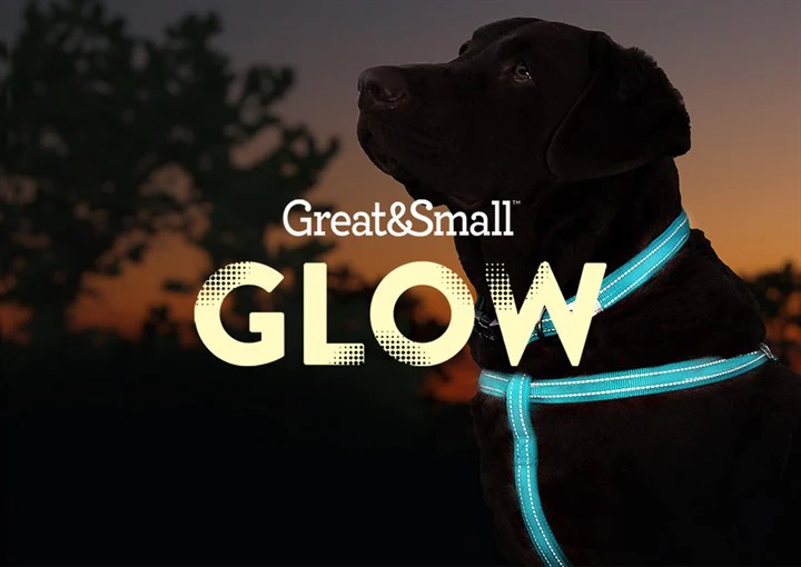 Glow LED Rechargeable Dog Collars - Image 6