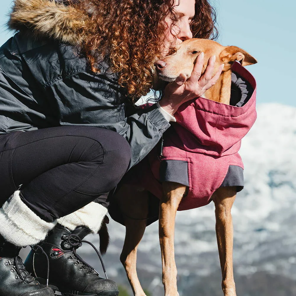 Hurtta Expedition Parka Dog Coat - Image 3