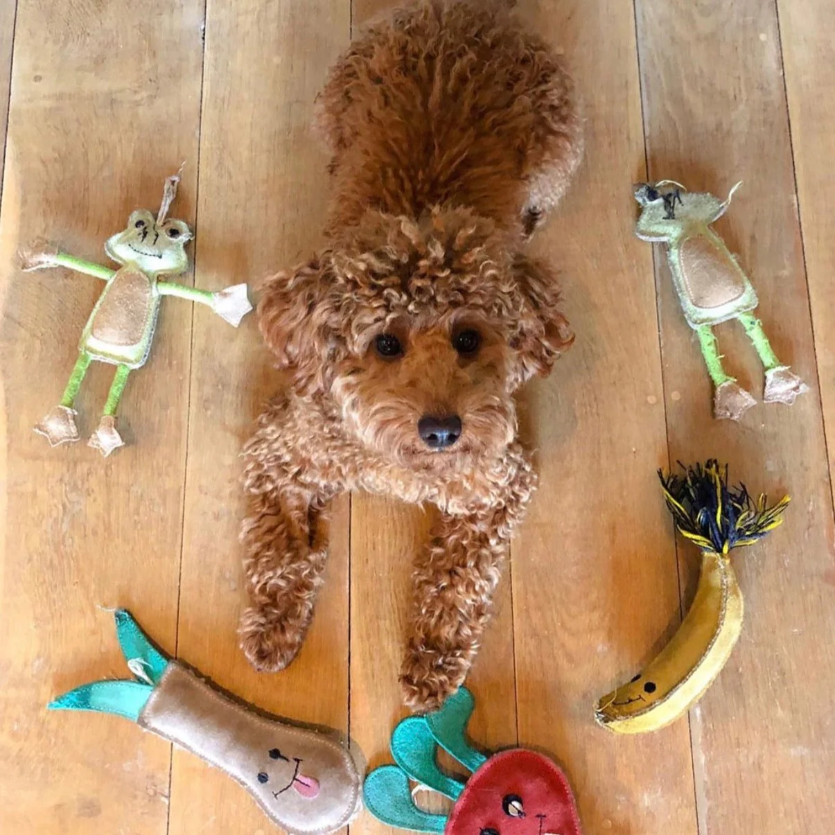 Green & Wilds Eco Dog Toy Lenny The Leek - Image 3