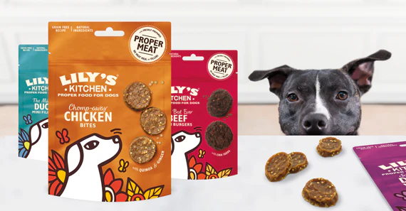 Lily's Kitchen Mini Beef Burgers - Image 3