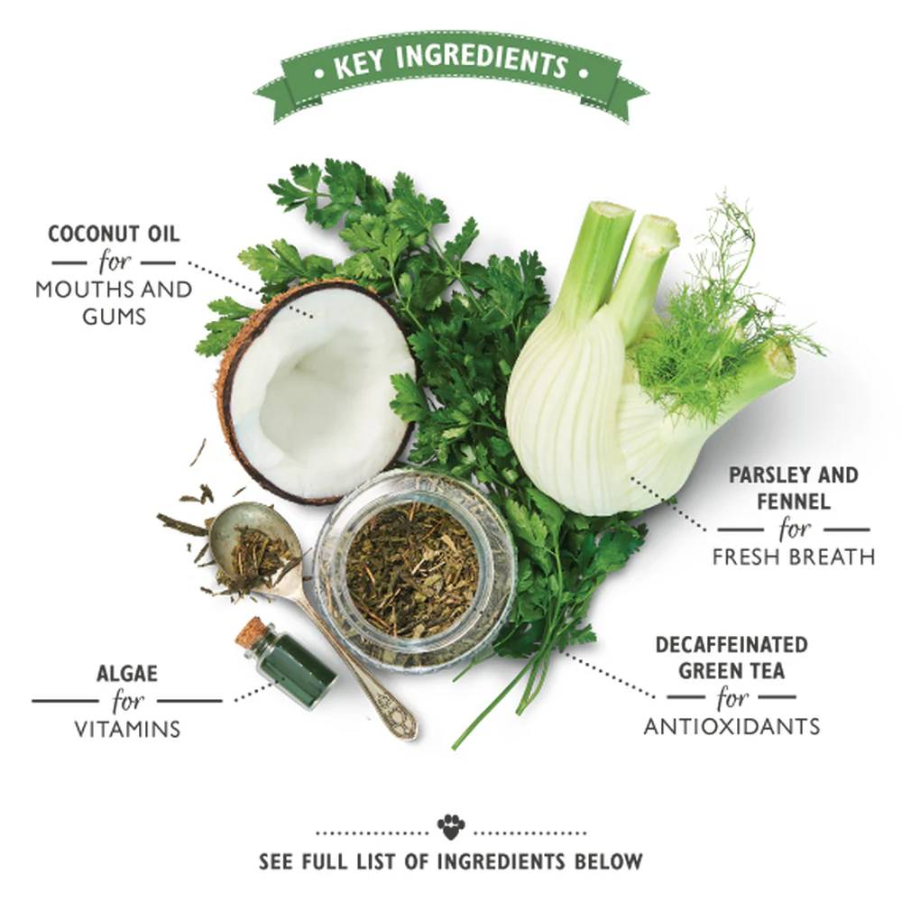 Lily's Kitchen Woof Brushes - Image 4