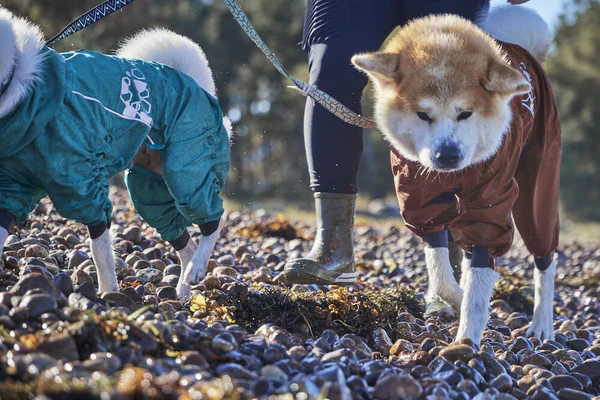 Hurtta Mudventure Eco Overall Dog Coat - Image 6