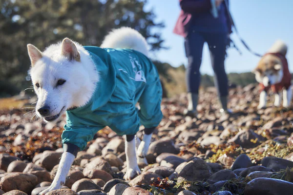 Hurtta Mudventure Eco Overall Dog Coat - Image 8