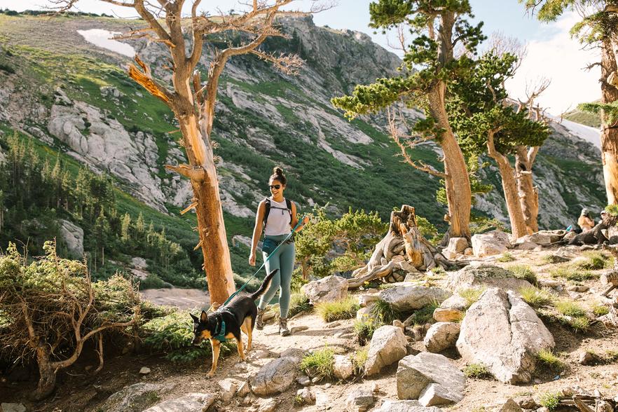 Ruffwear Front Range® Dog Collar - Image 4