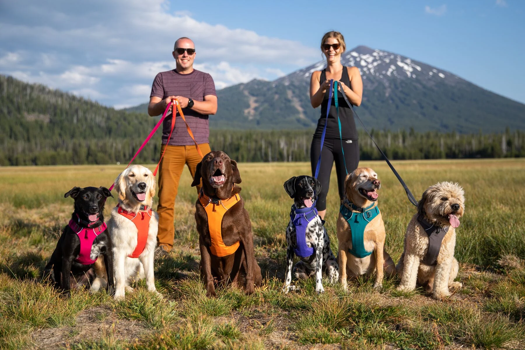 Ruffwear Front Range® Dog Collar - Image 5