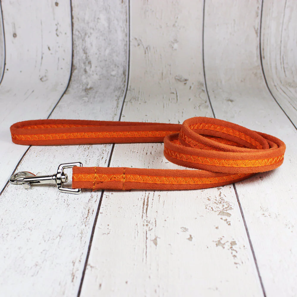Orange Oscar and Hooch Dog Collar - Image 3