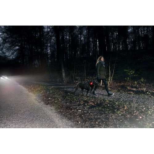 Orbiloc Collar Safety Light - Image 9