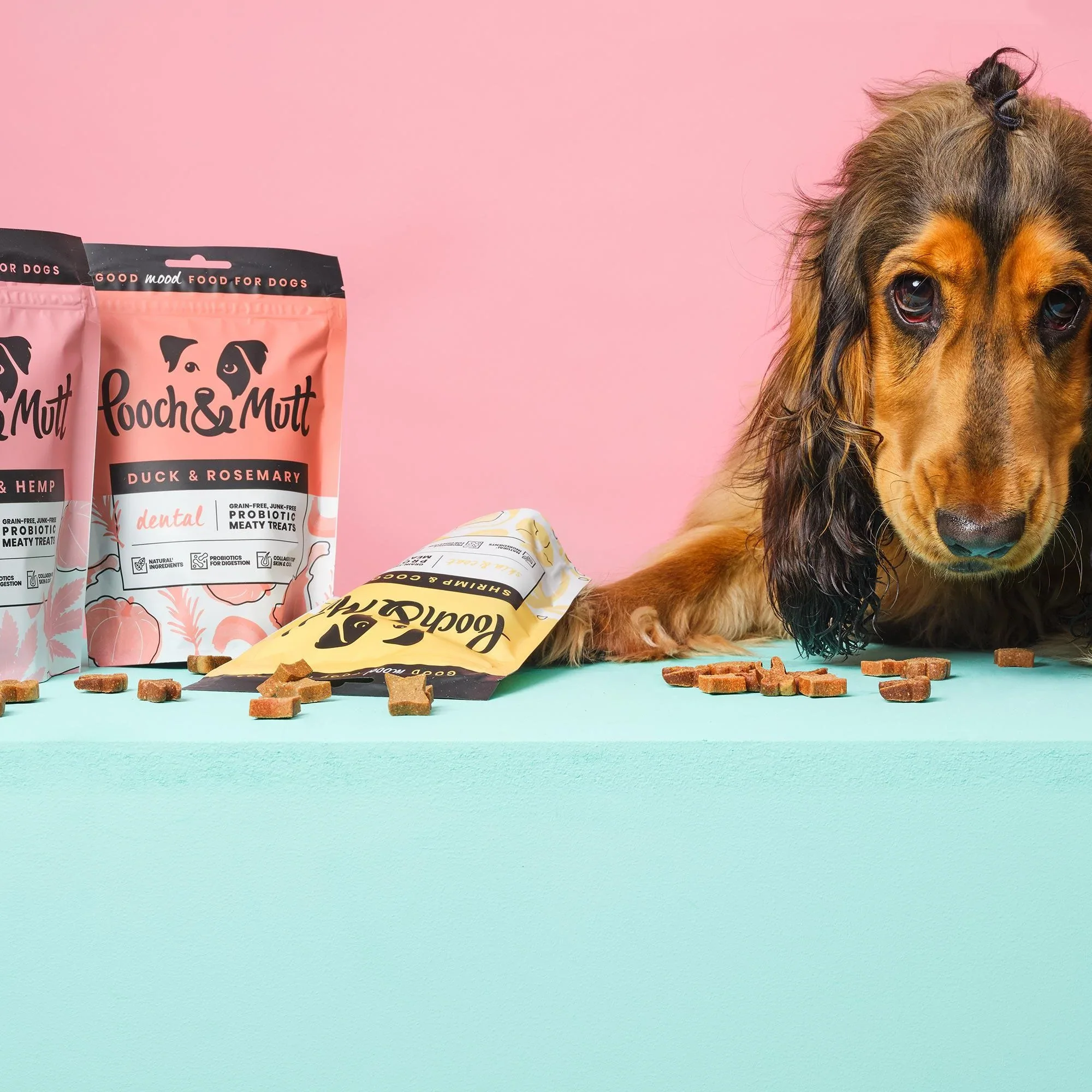 Pooch & Mutt Calming Probiotic Meaty Treats - Image 5