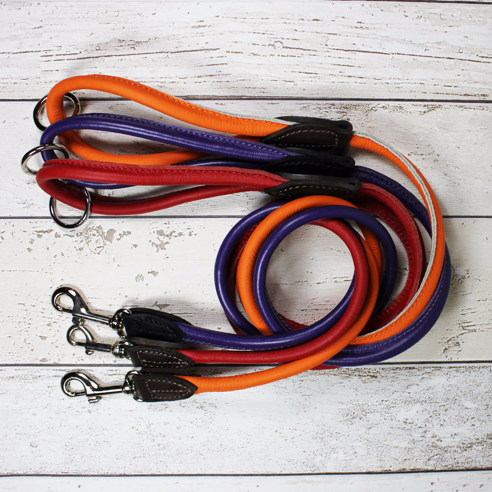 D&H Red Rolled Leather Dog Collar - Image 3