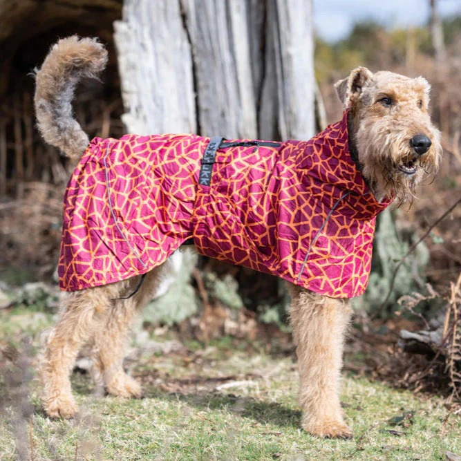 Rukka Hayton Warm Raincoat for Dogs - Image 3