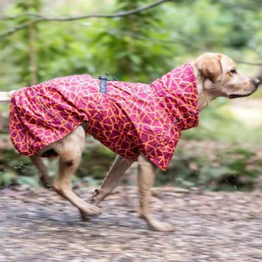Rukka Hayton Warm Raincoat for Dogs - Image 6