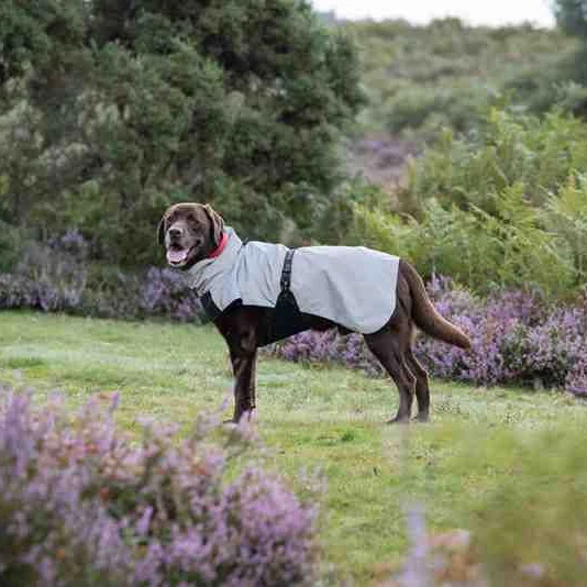 Rukka Shine Reflective Rain Coat for Dogs - Image 3