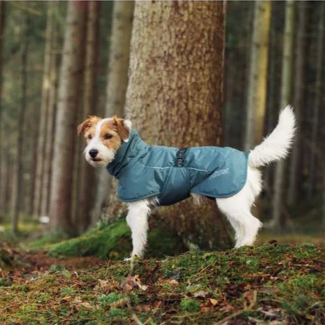 Rukka Stormy Rain Coat for Dogs - Image 6