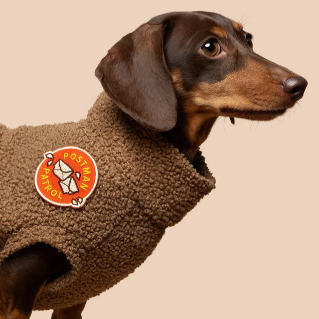 Scout's Honour Iron-on Patches for Dogs - Image 16