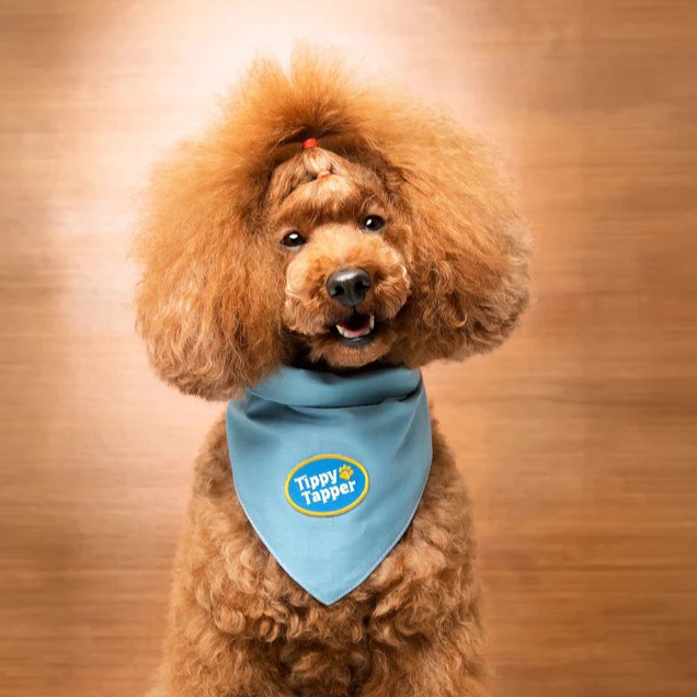 Scout's Honour Iron-on Patches for Dogs - Image 17