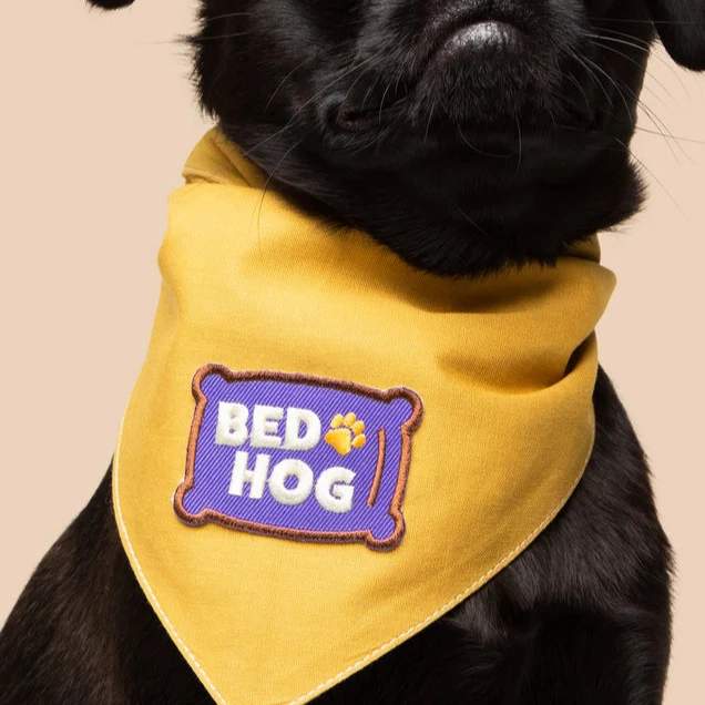 Scout's Honour Iron-on Patches for Dogs - Image 18