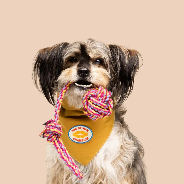 Scout's Honour Iron-on Patches for Dogs - Image 23