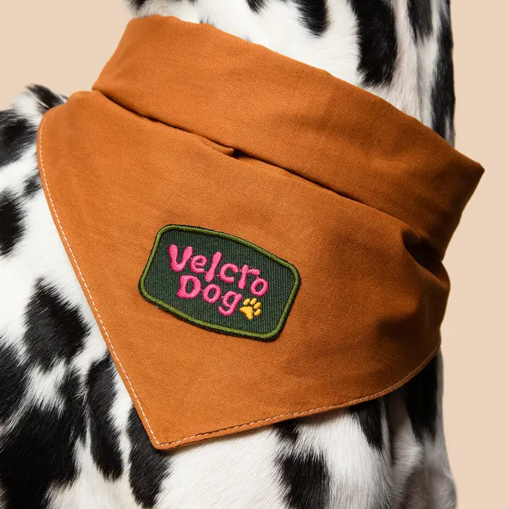 Scout's Honour Iron-on Patches for Dogs - Image 27