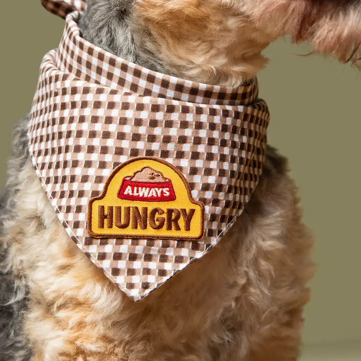 Scout's Honour Iron-on Patches for Dogs - Image 4