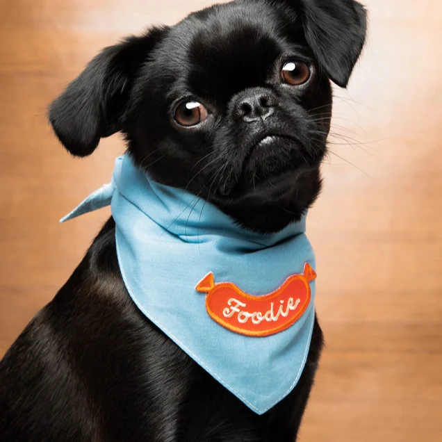 Scout's Honour Iron-on Patches for Dogs - Image 7