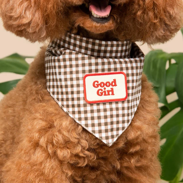 Scout's Honour Iron-on Patches for Dogs - Image 9