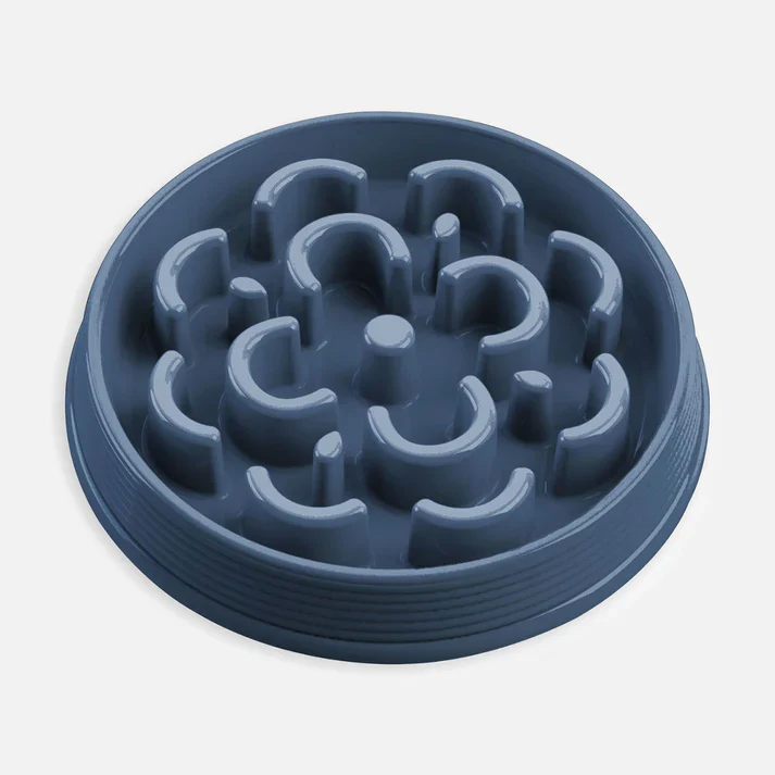 Slow Chow Medallion Dog Bowl Feeder - Image 5