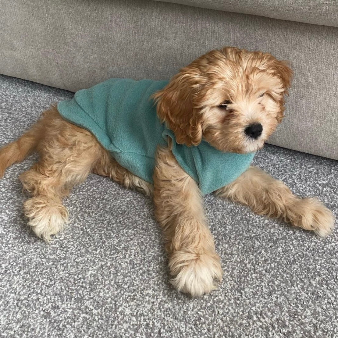 Small Breed Dog Fleece Jumper - Image 14