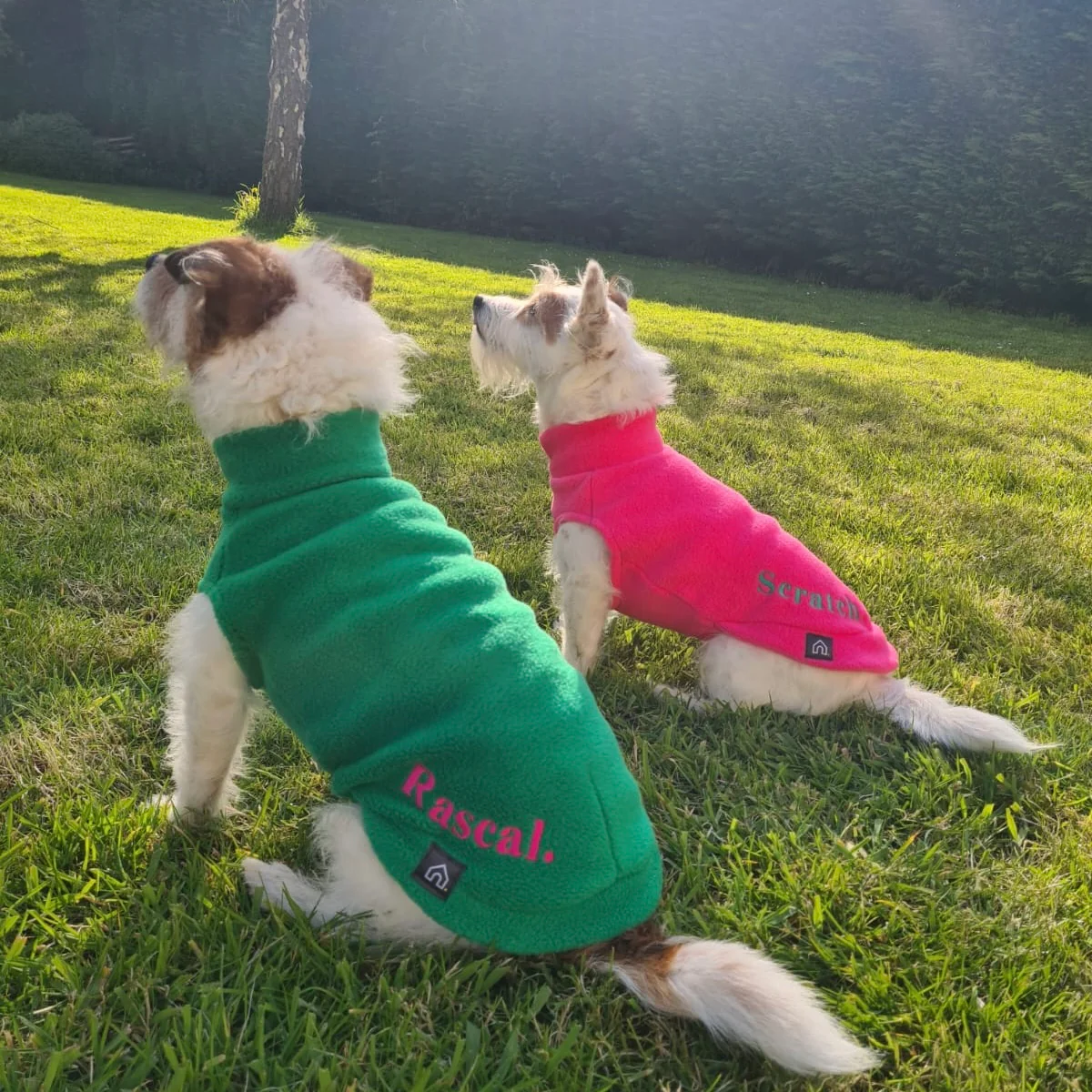 Small Breed Dog Fleece Jumper - Image 24