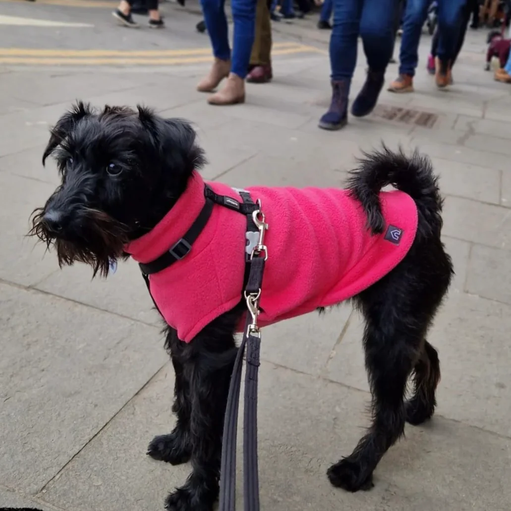 Small Breed Dog Fleece Jumper - Image 8