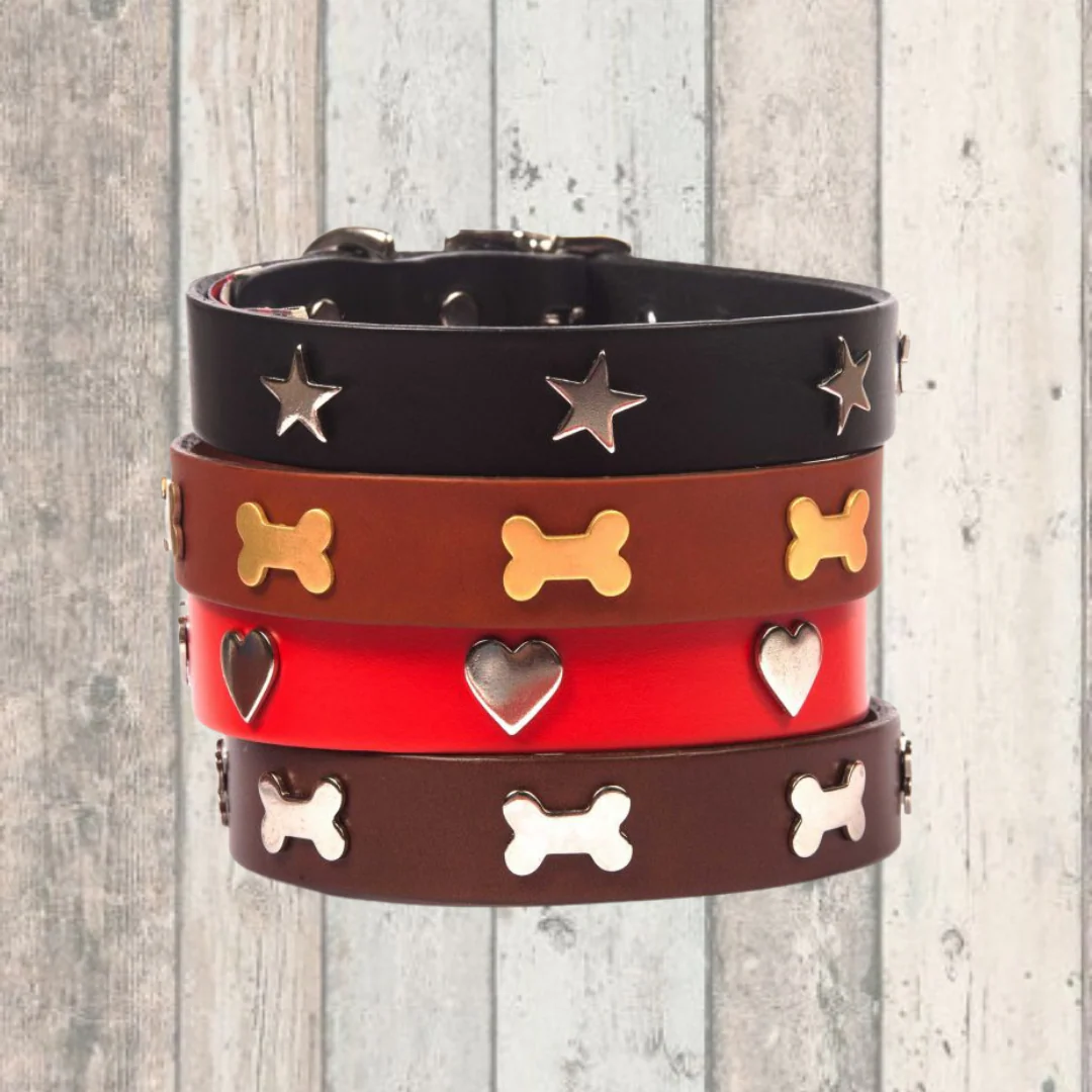 Tan Bone Creature Clothes Dog Collar - Image 3