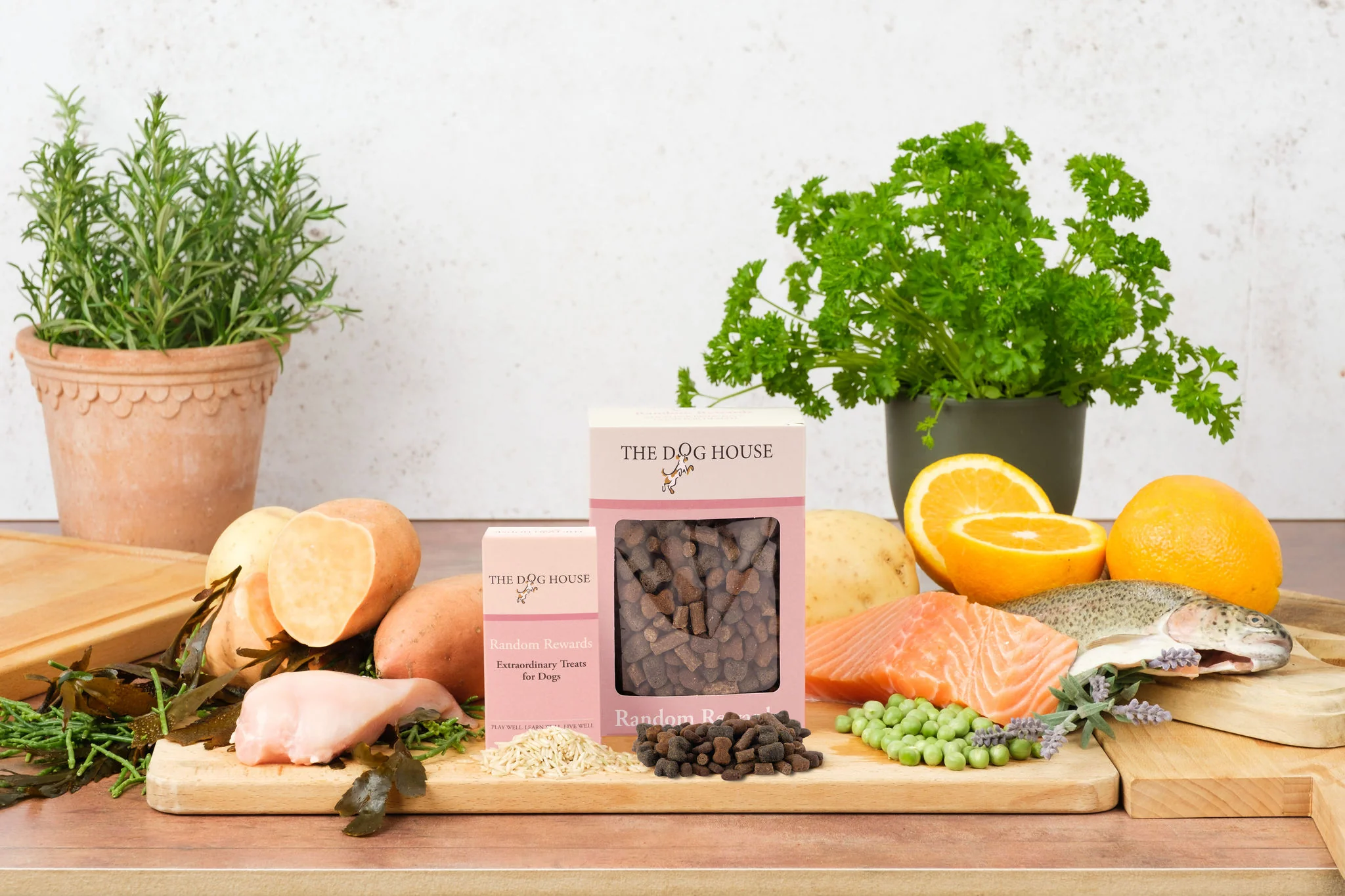 The Dog House Random Rewards - Image 5