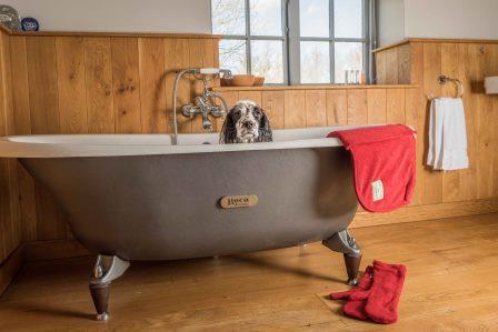 Ruff and Tumble Dog Drying Coat - Brick Red - Image 5