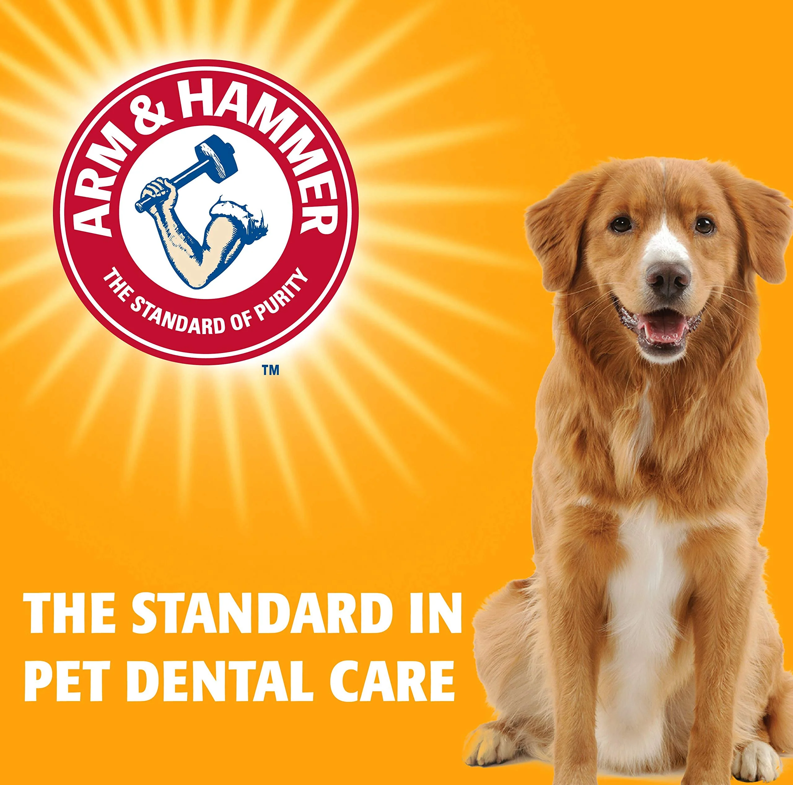 Arm & Hammer Toothpaste for Dogs - Image 3