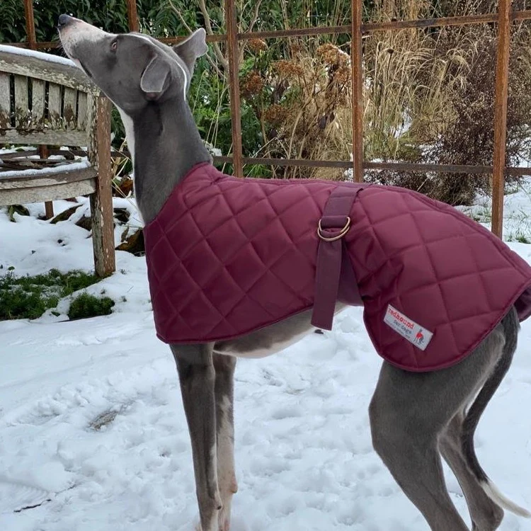 Warm Waterproof Whippet Coat - Image 3