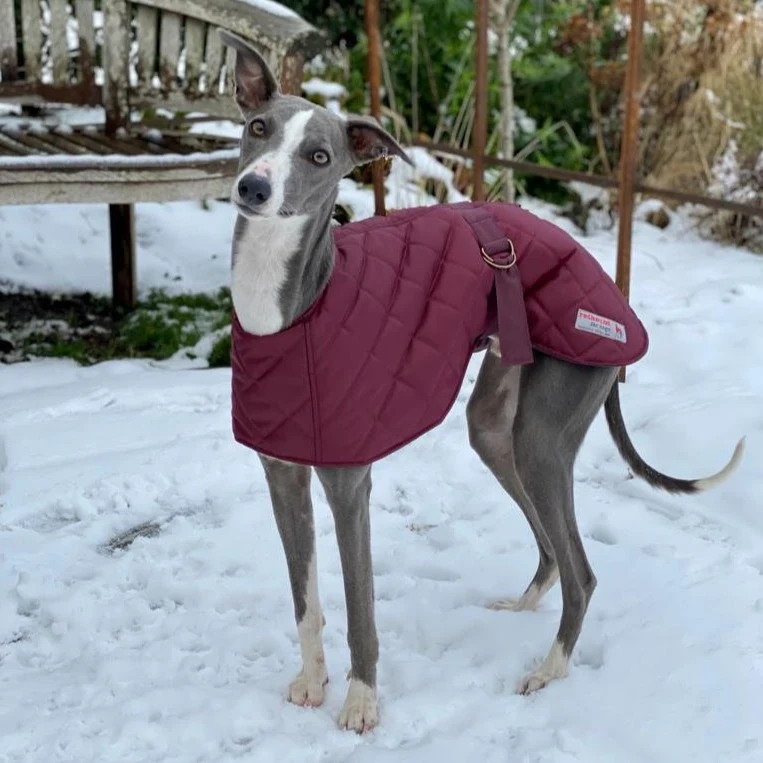 Warm Waterproof Whippet Coat - Image 5