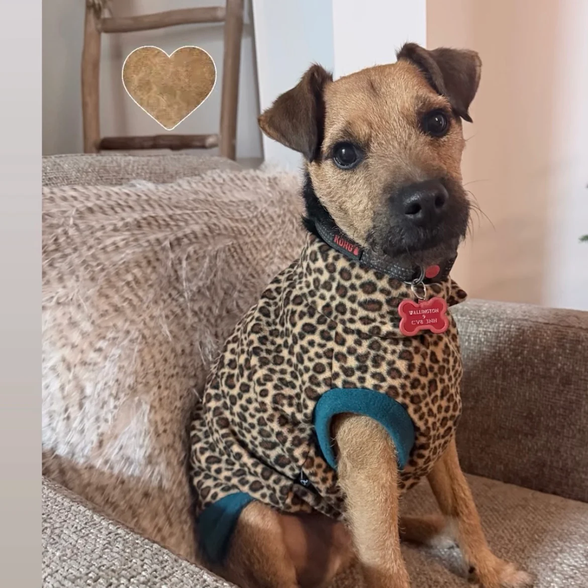 Wild Animal Print Fleece Jumper for Dogs - Image 11